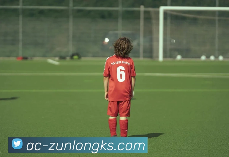 App Interface Preview